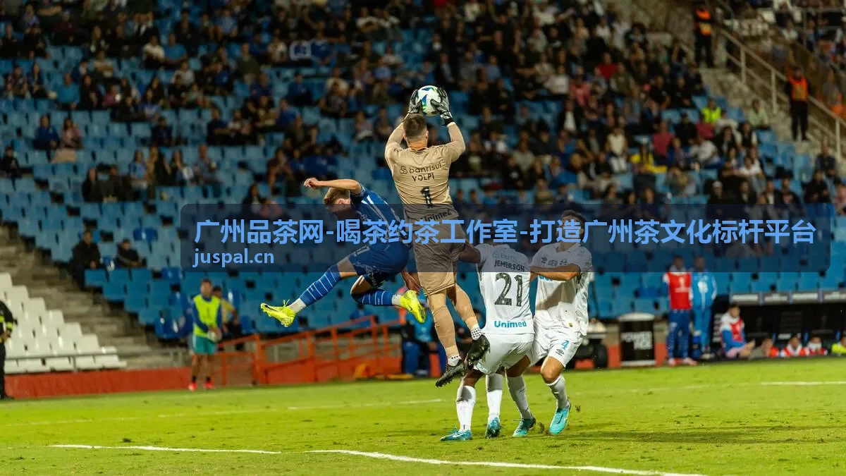 广州品茶网尊享定制茶会套餐