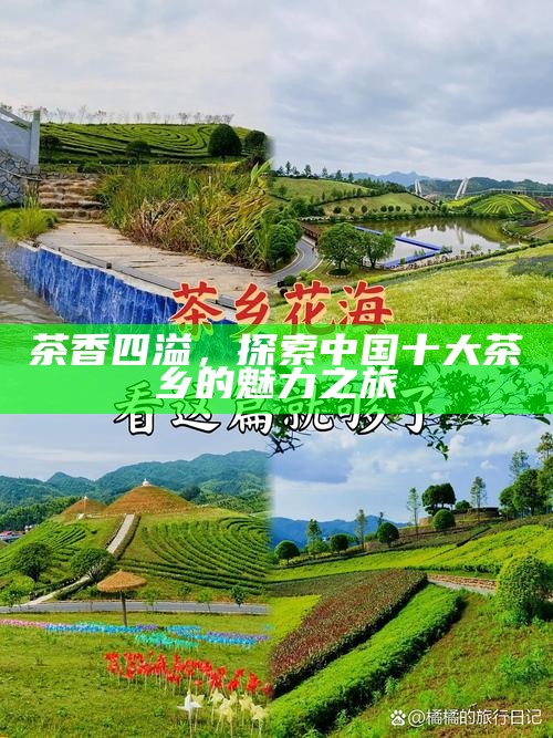 茶香四溢,探索中国十大茶乡的魅力之旅