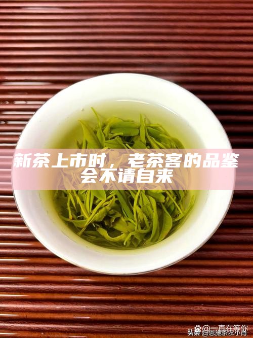 新茶上市时，老茶客的品鉴会不请自来
