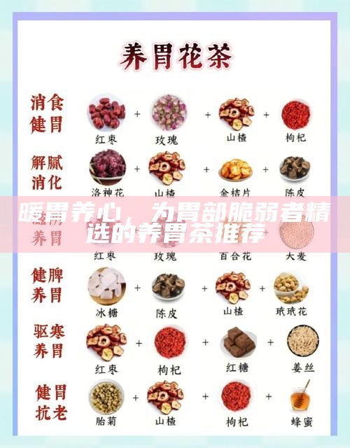 暖胃养心,为胃部脆弱者精选的养胃茶推荐
